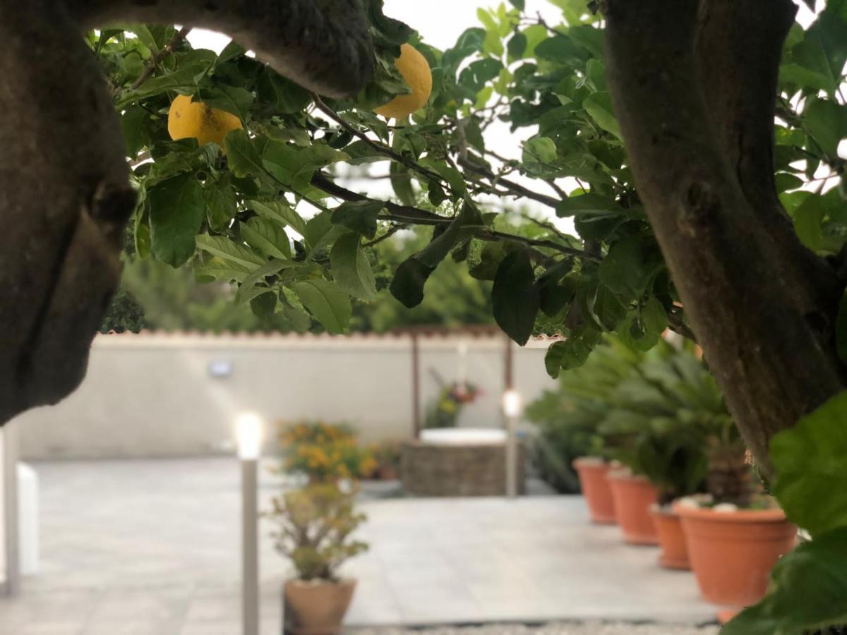 Invilla Bed&Breakfast - Quality Rooms Santa Maria di Castellabate Exterior photo