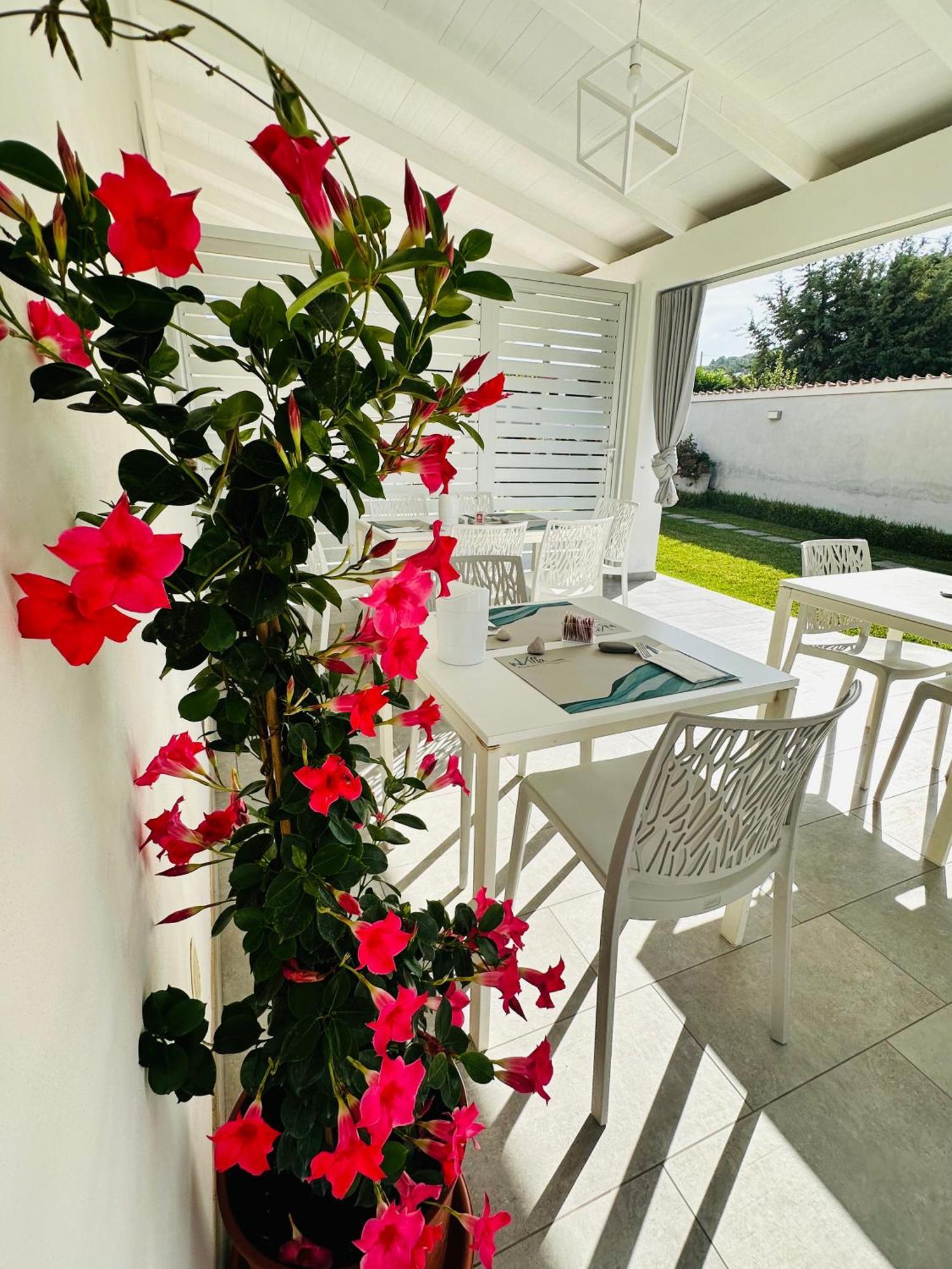 Invilla Bed&Breakfast - Quality Rooms Santa Maria di Castellabate Exterior photo