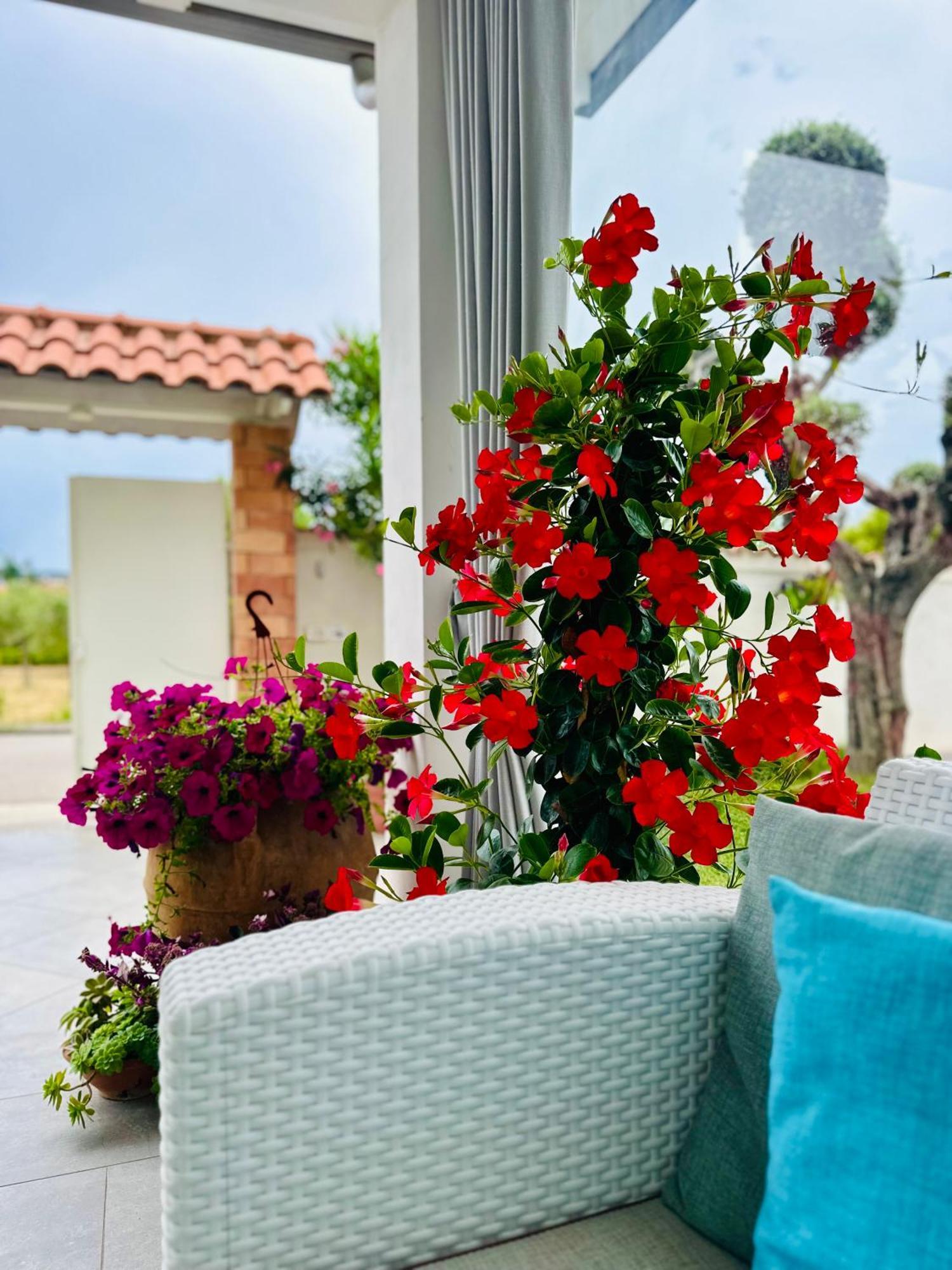 Invilla Bed&Breakfast - Quality Rooms Santa Maria di Castellabate Exterior photo