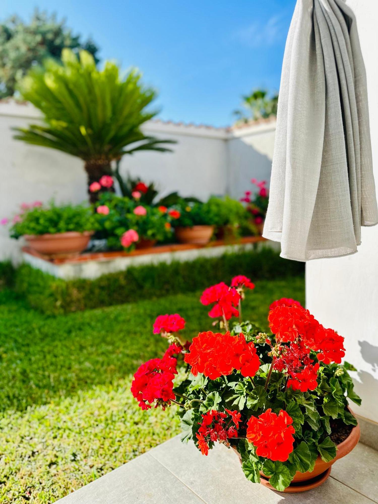 Invilla Bed&Breakfast - Quality Rooms Santa Maria di Castellabate Exterior photo