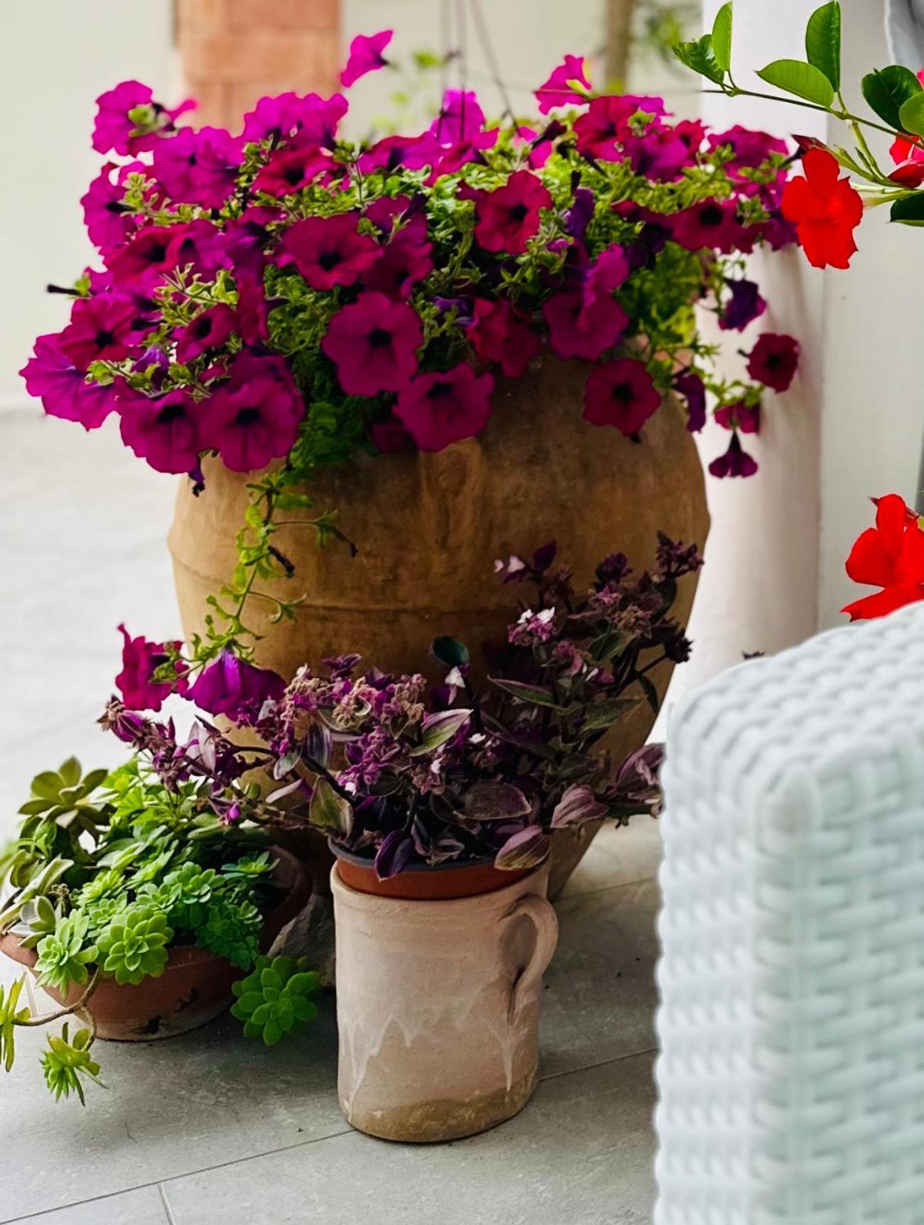 Invilla Bed&Breakfast - Quality Rooms Santa Maria di Castellabate Exterior photo