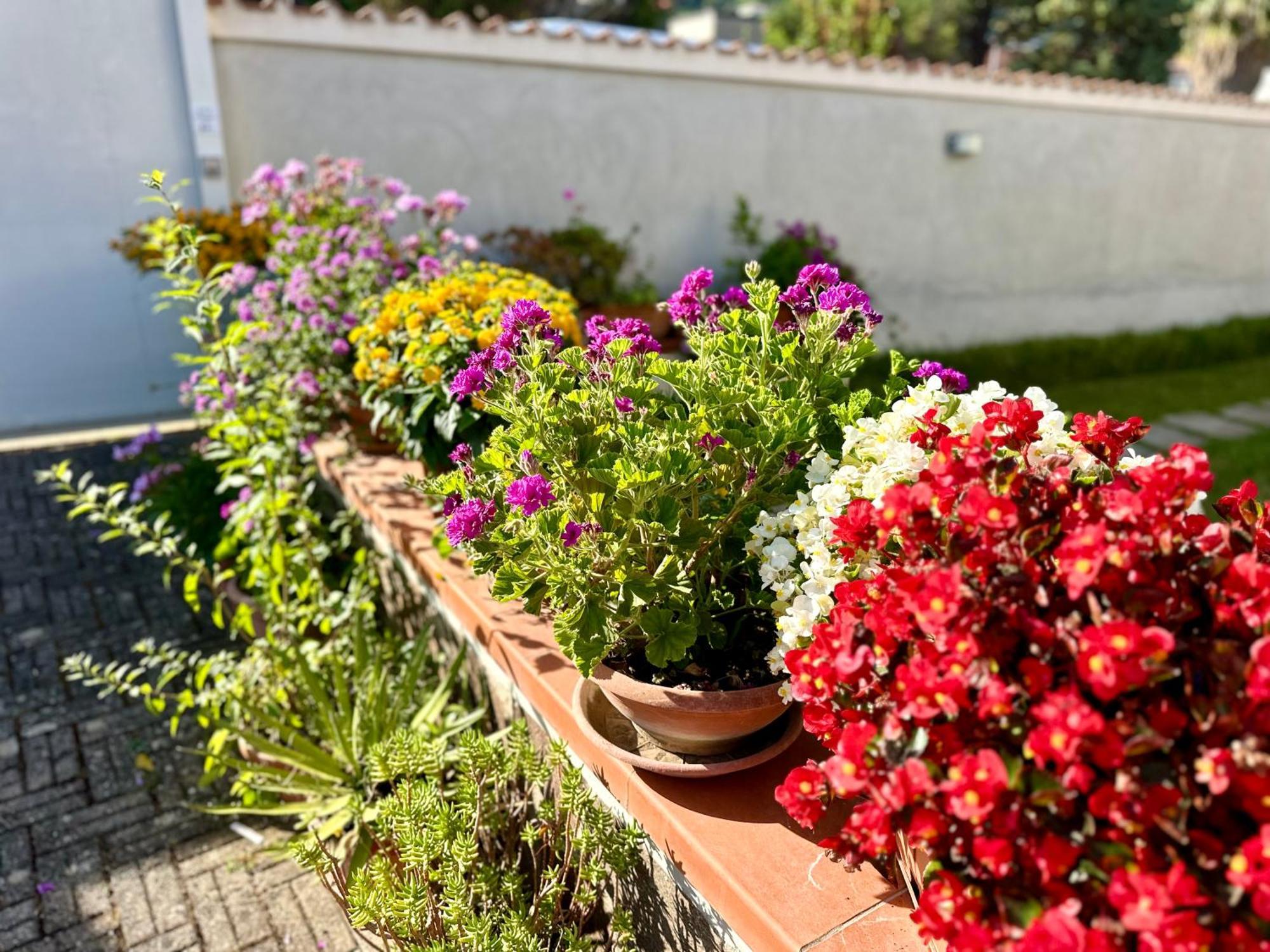 Invilla Bed&Breakfast - Quality Rooms Santa Maria di Castellabate Exterior photo