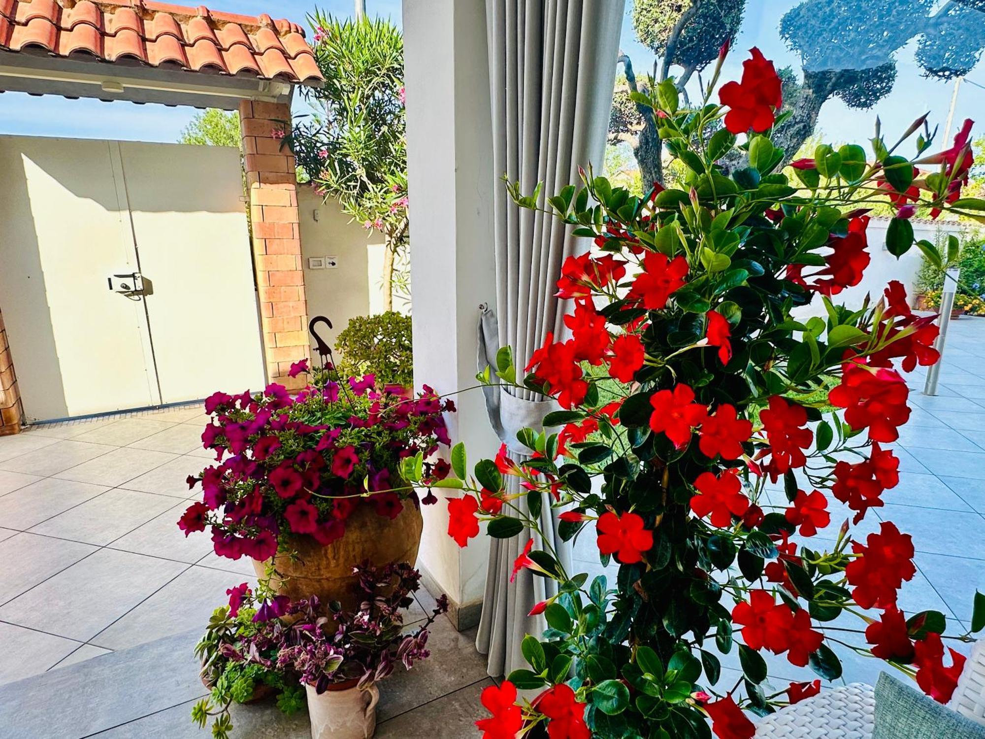 Invilla Bed&Breakfast - Quality Rooms Santa Maria di Castellabate Exterior photo