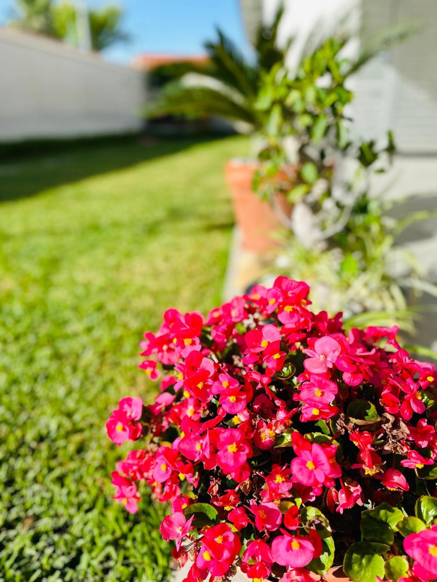 Invilla Bed&Breakfast - Quality Rooms Santa Maria di Castellabate Exterior photo